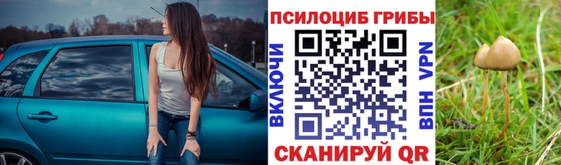 Галлюциногенные грибы мицелий  Нестеров 